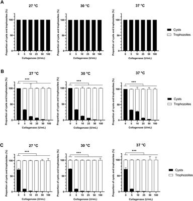 Stimulation of Acanthamoeba castellanii excystment by enzyme treatment and consequences on trophozoite growth